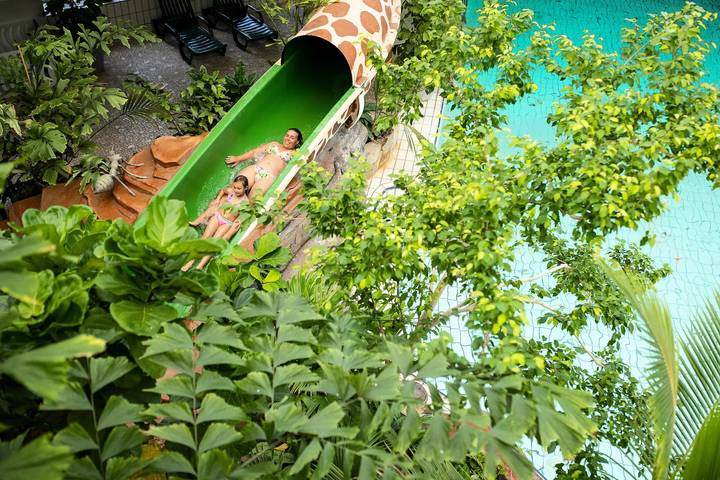 Camping für 6 Personen, mit Terrasse, mit Haustier in Nordholland - 4