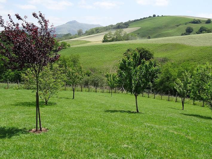 Gîte pour 6 personnes, avec terrasse et jardin à Bellefontaine (Jura) - 4