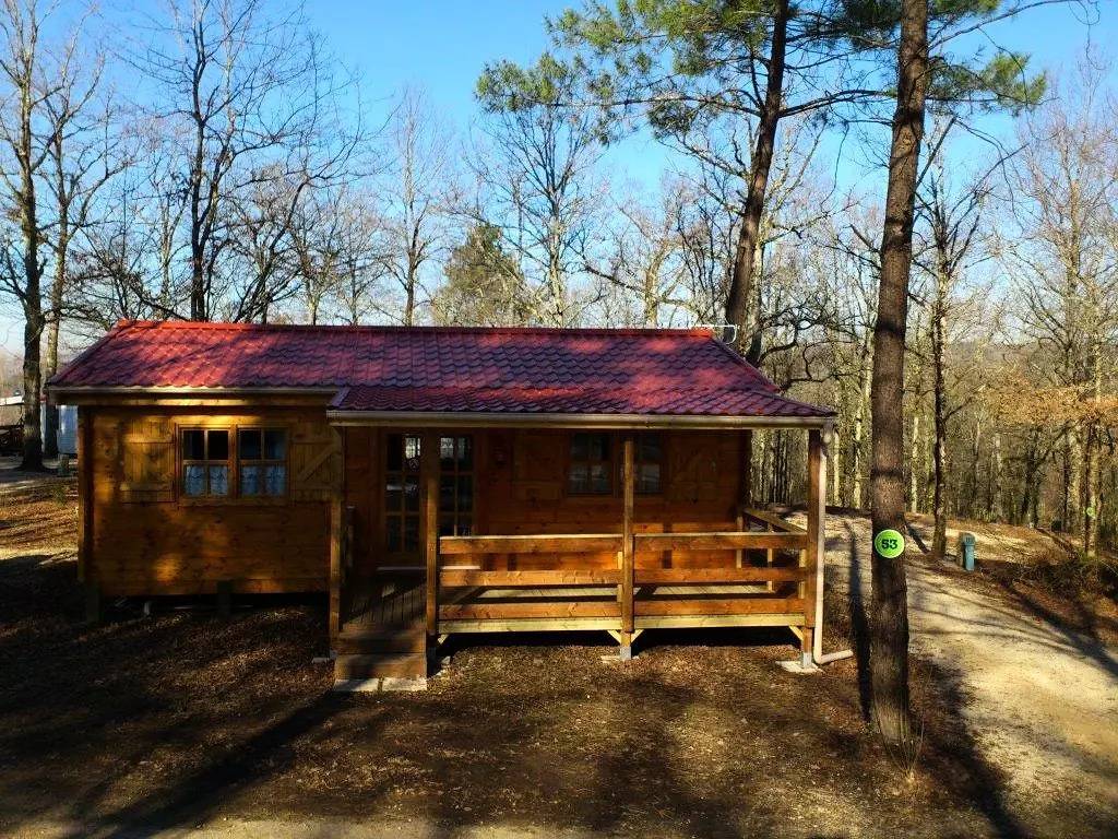 Chalet Les Bleuets 40m² Überdachte Terrasse + Fernseher + Geschirrspüler 5 Personen in Peyrignac, Périgord Noir