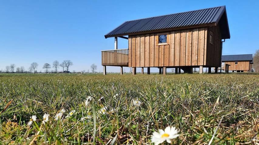 Maison de vacances pour 12 personnes, avec vue sur le lac et terrasse dans Drenthe