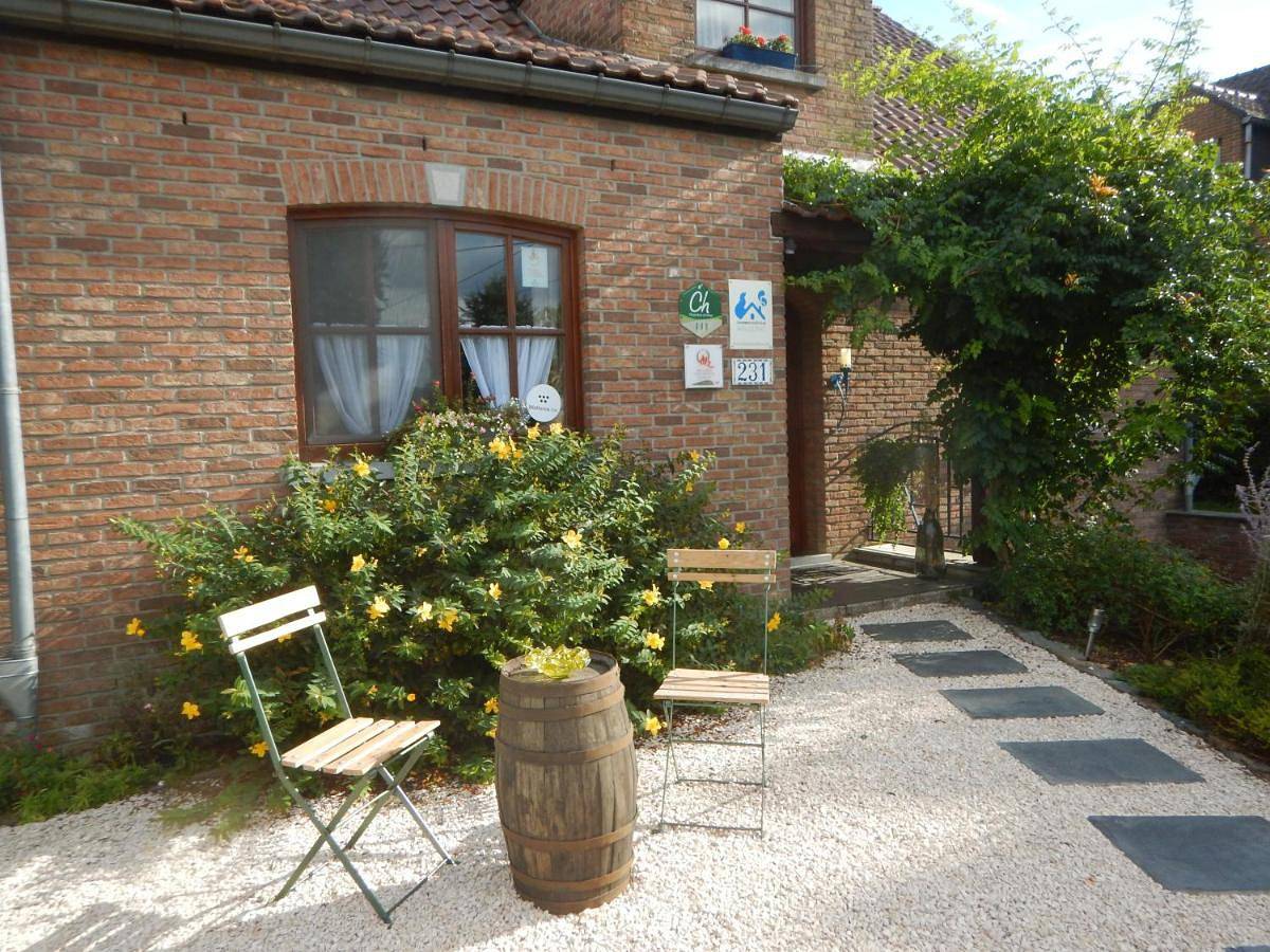 La Chrysalide in Mons (Hennegau), Henegouwen