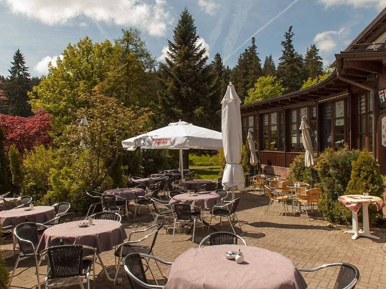 Hotel Sarbacher - Einzelzimmer mit Dusche und Wc in Reichental, Gernsbach