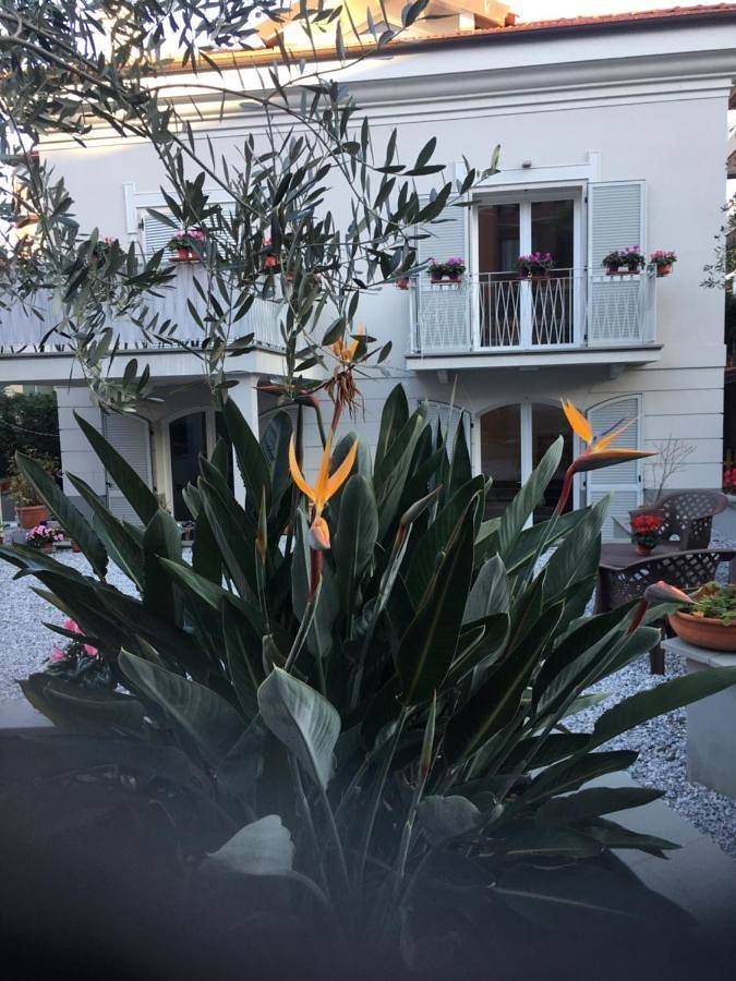 Guesthouse Villa Jung in Bordighera, Riviera di Ponente