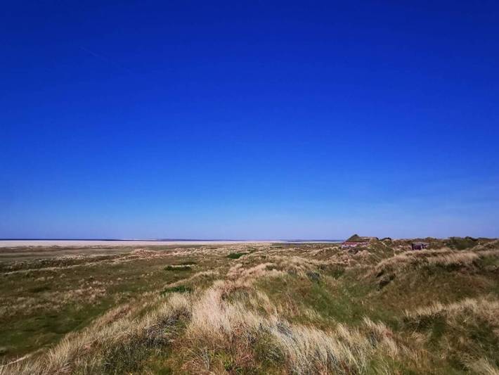 Ferienhaus für 2 Personen, mit Pool, mit Haustier in Dänemark an der Nordsee - 3