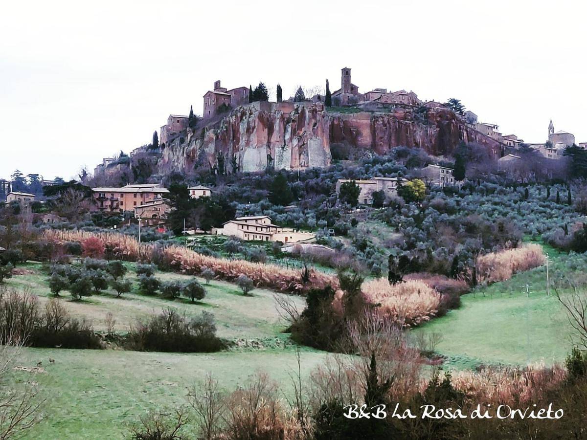 La Rosa di Orvieto in Orvieto, Province de Terni