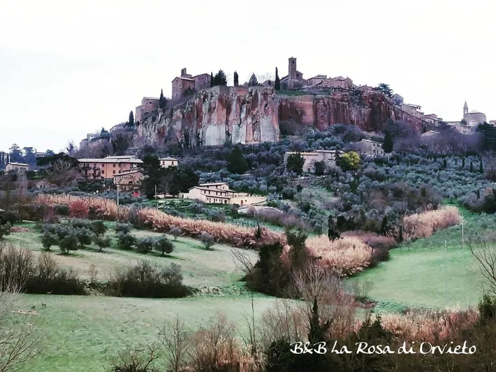 Bed and breakfast per 2 persone, con animali domestici - 1