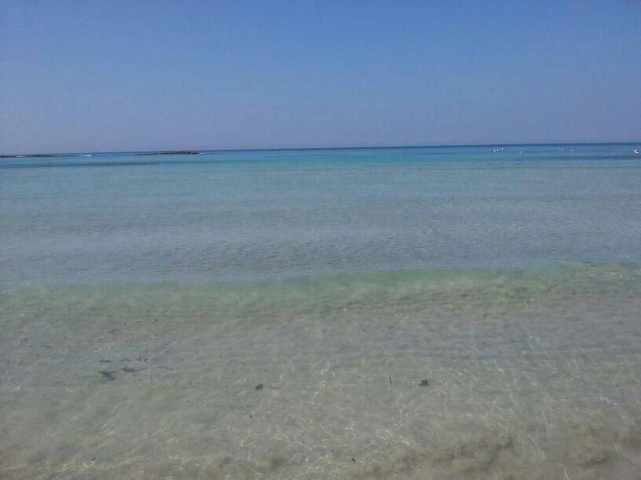 Appartamento intero, Apartment Zeus Apollo mit mölierter Terrasse in Torre Mozza (Salento), Golfo di Taranto