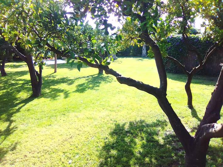 Chalet para 10 personas, con piscina además de jardín y vistas, Se admiten mascotas en Valle de Lecrín - 3