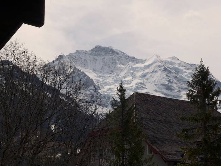 Ganze Wohnung, Im Gruebi Apt.5 in Wengen, Lauterbrunnen
