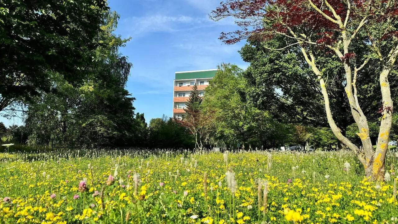 Ganze Ferienwohnung, Ferienwohnung für 8 Personen (71 m²) in Altenburg in Altenburg, Ostthüringen
