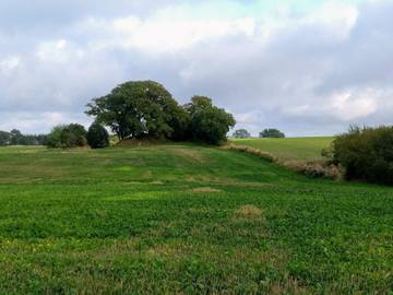 Ferielejlighed til 4 Personer i Svaneke, Bornholm, Billede 4