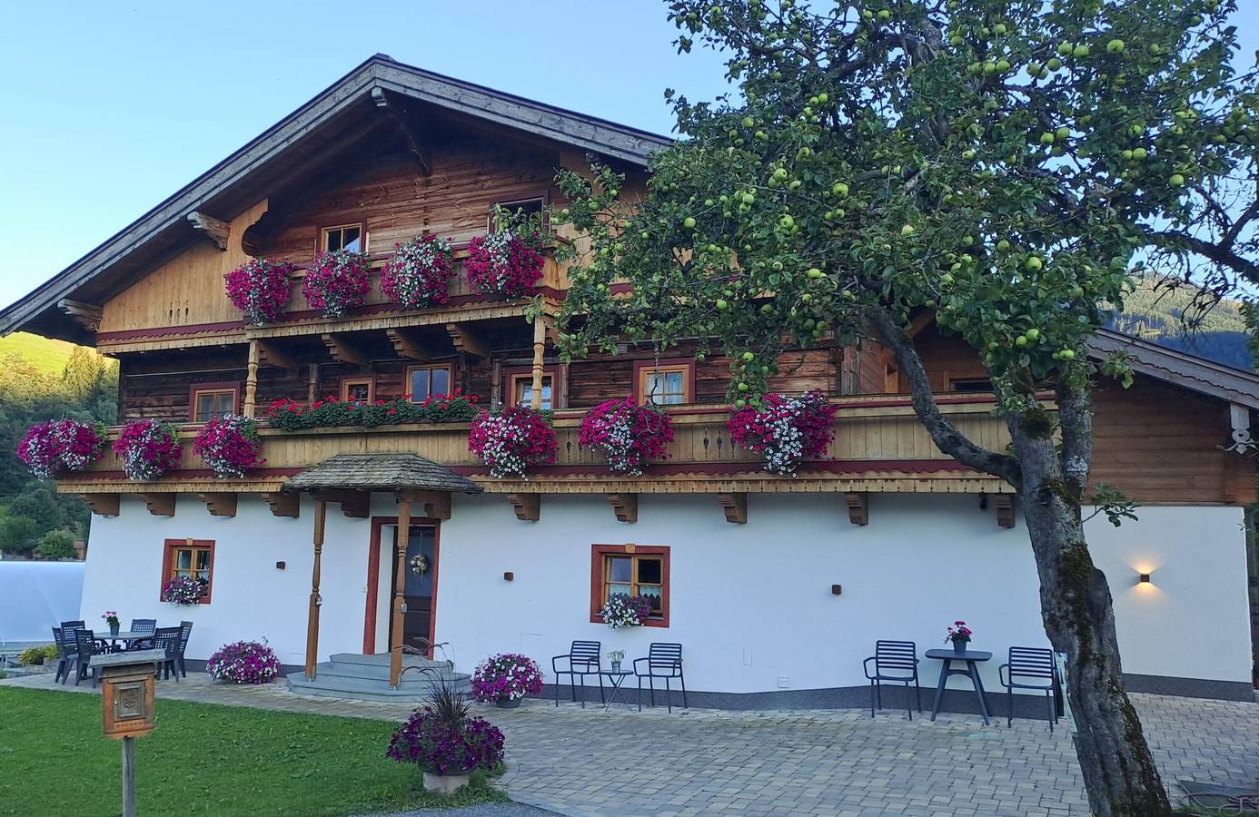 Ganze Wohnung, Ferienwohnung "Steinernes Meer" mit Balkon, Bergblick auf einem Biohof in Maria Alm, Pinzgau