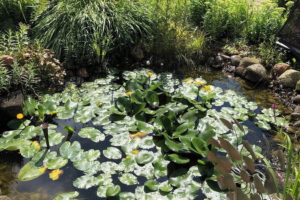 Fewo ü. 2Etagen, mit Hof+Garten+Stellplatz, ideal f. Urlauber mit Kind u/o Kegel in Delligsen, Landkreis Holzminden