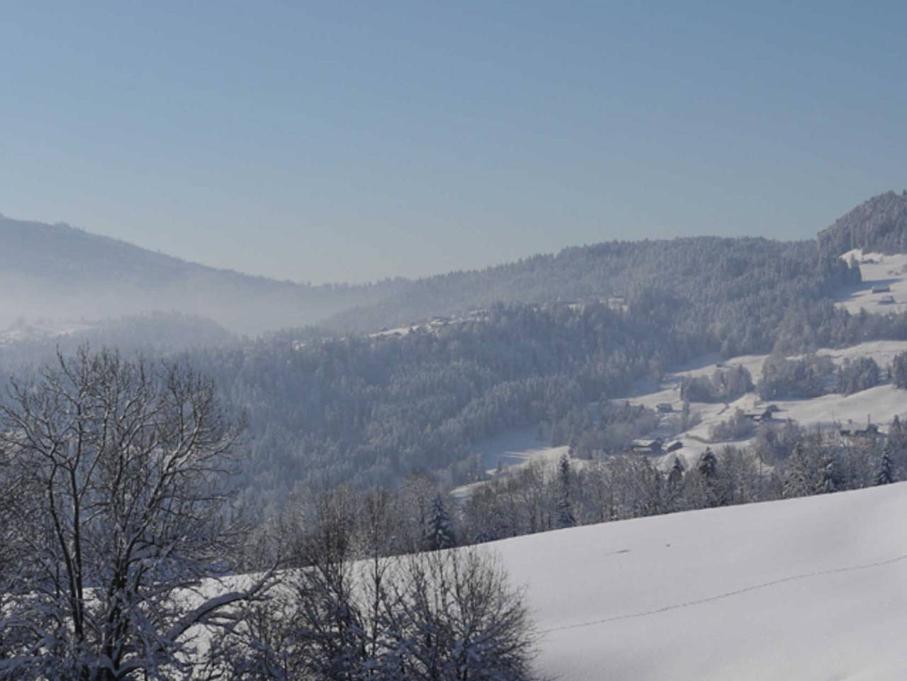 Ganze Ferienwohnung, Haus Erna - Ferienwohnung für 2-5 Personen in Doren, Bodensee-Vorarlberg