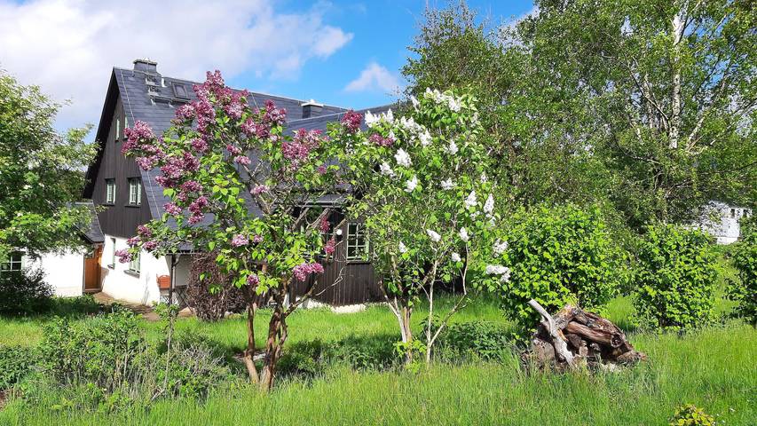 Ferienhaus für 8 Personen in Altenberg - 2
