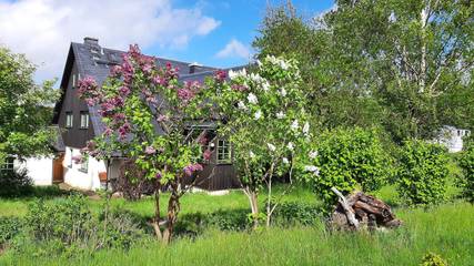 Ferienhaus für 8 Personen in Altenberg, Mittlere Erzgebirge, Bild 1