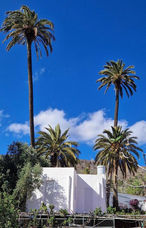 Casa rural para 4 personas, con Balcón y Jacuzzi además de Terraza y Jardín en Santa Lucía de Tirajana - 2