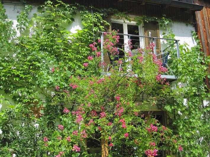 Ganze Ferienwohnung, Ferienwohnungen Blätterrausch - Waldglück in Schwandorf, Ostbayern