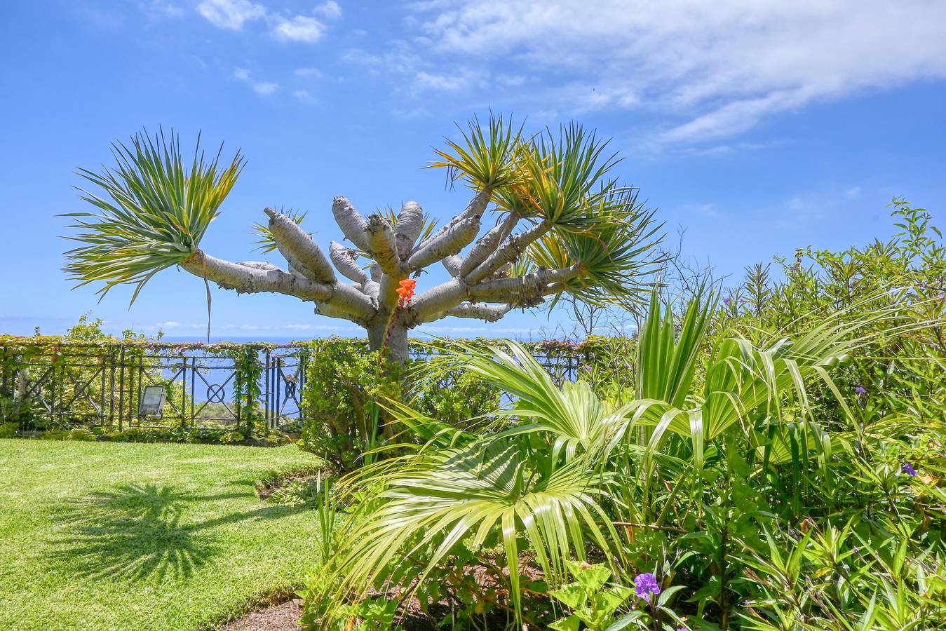 Casa das Bromélias, a Home in Madeira in São Gonçalo, Madeira
