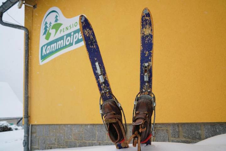 Maison d’hôte pour 3 personnes, avec terrasse et sauna à Klingenthal - 2