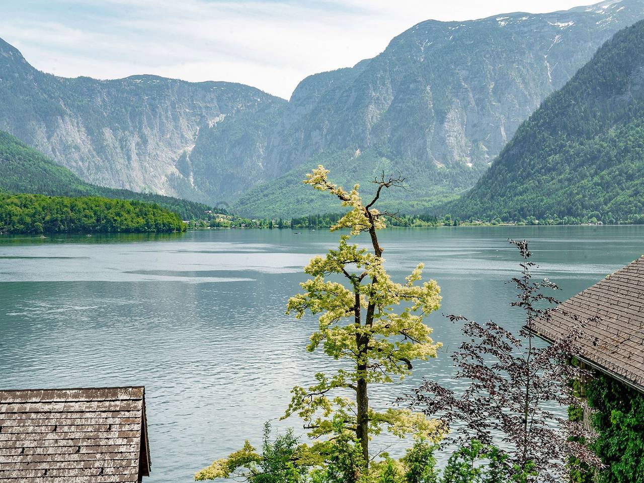 Ganze Wohnung, Hallstatt Lakeview Apartments - Seeblick in Lahn (Hallstatt), Hallstatt