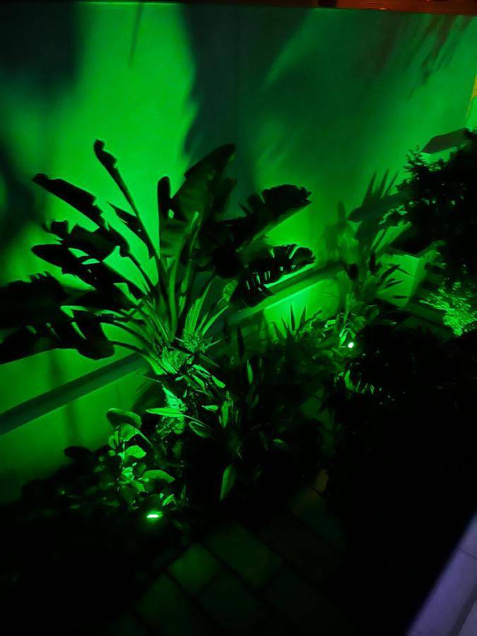 Casa rural para 6 personas, con piscina además de vistas y terraza, Se admiten mascotas en Guardamar del Segura - 3