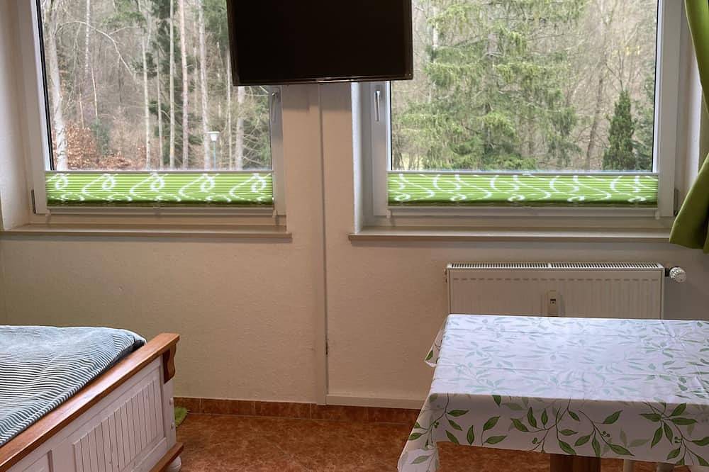 Ganze Wohnung, Immensee Iv gemutliches 1 Zi.-Apartment mit Gemeinschaftraum + Kamin in Ronshausen, Hessisches Bergland