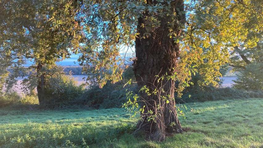 Location de vacances pour 2 personnes, avec piscine ainsi que vue et jardin dans Lac d'Uby - 3