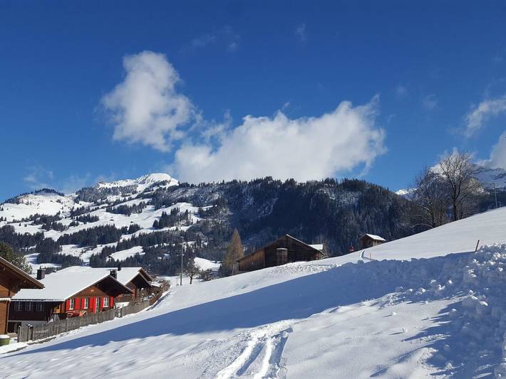Ganze Wohnung, Burkhalter in Saanenmöser, Zweisimmen
