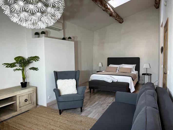 Location de vacances pour 8 personnes, animaux acceptés dans Cite Medievale - 3