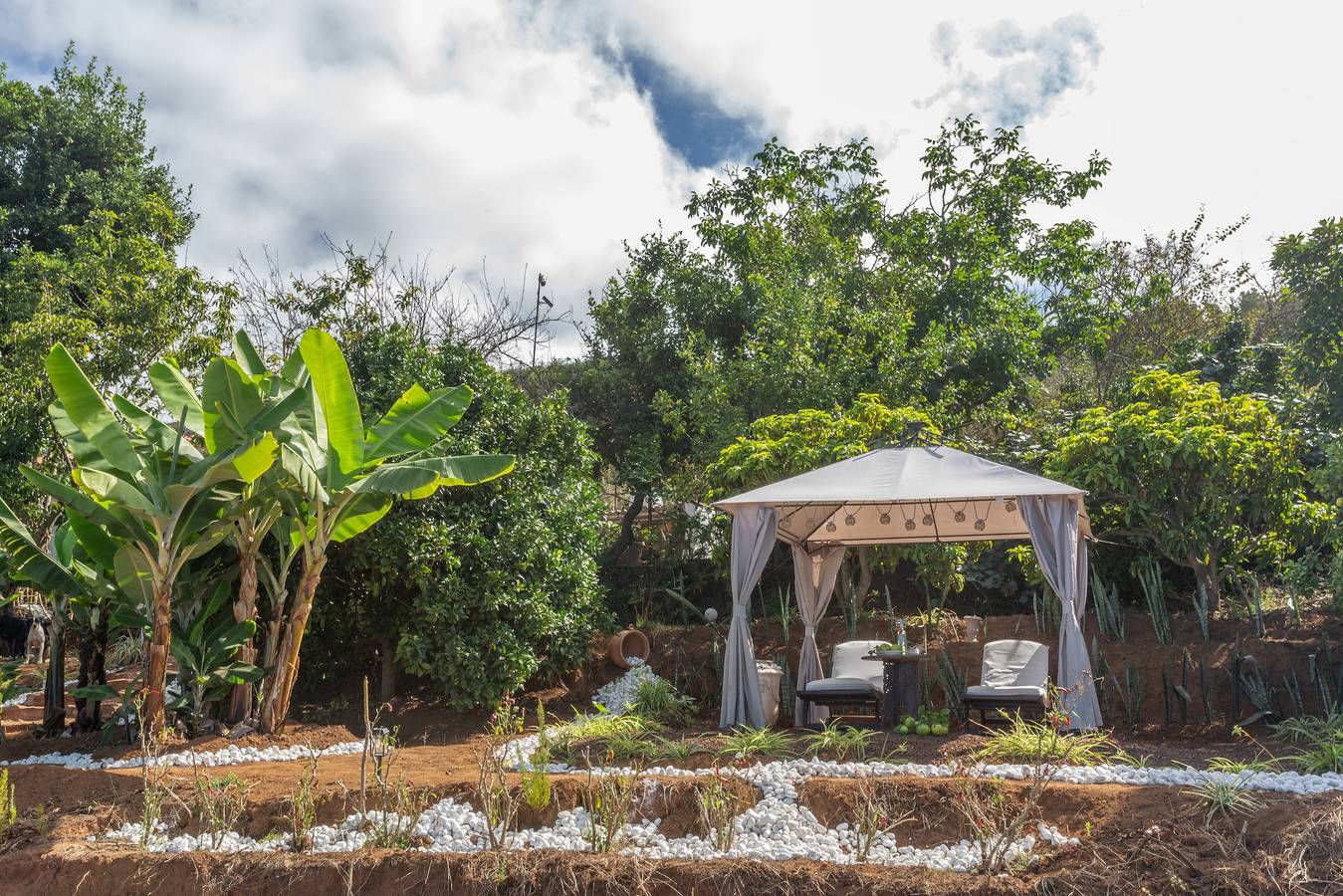 Maison de campagne pour 3 personnes avec jardin in La Quinta, Santa Úrsula