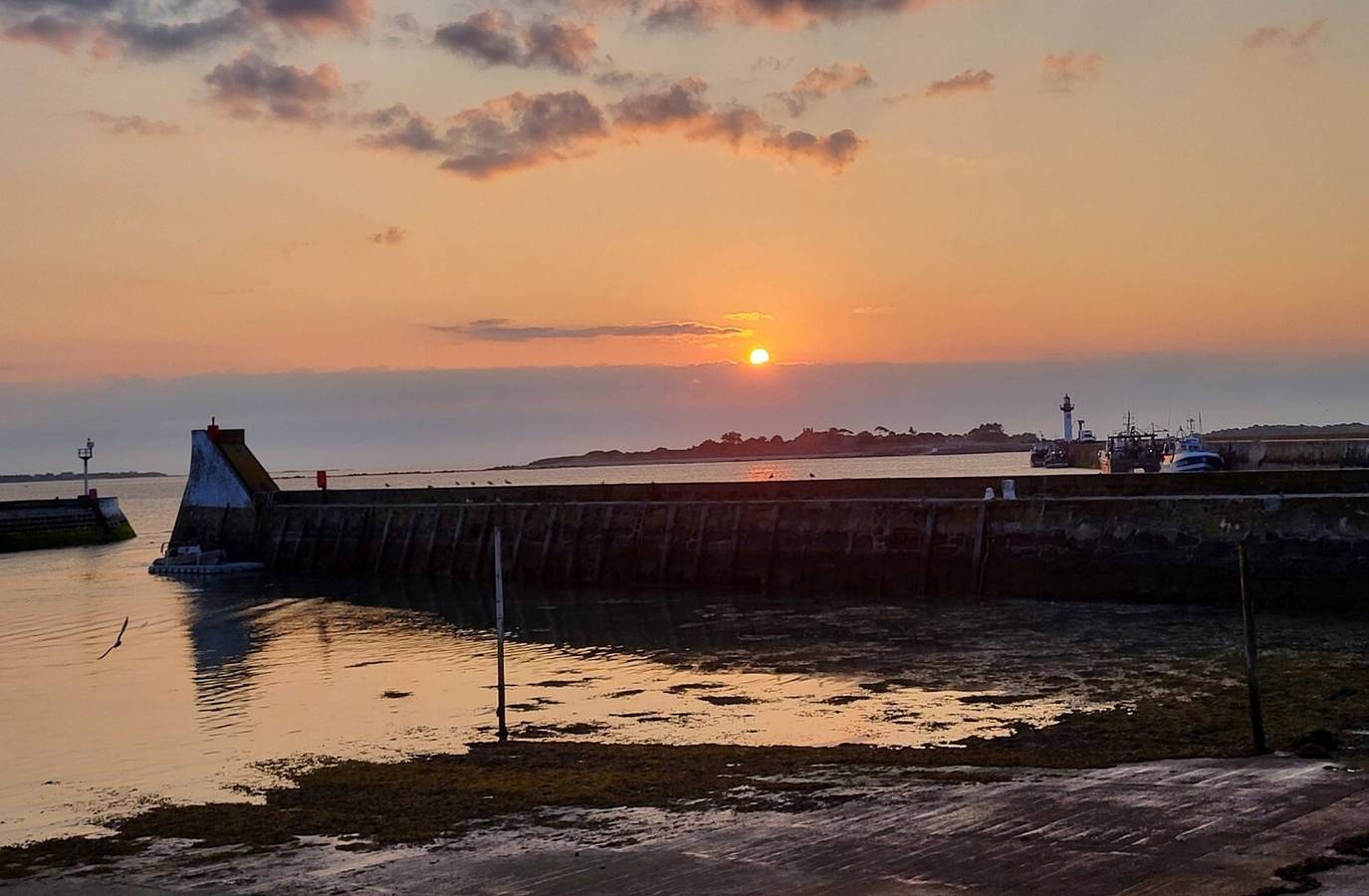 Nieuw: T2 aan zee, zeezicht, balkon, Wi-Fi, afgesloten garage, dicht bij centrum, foto 8