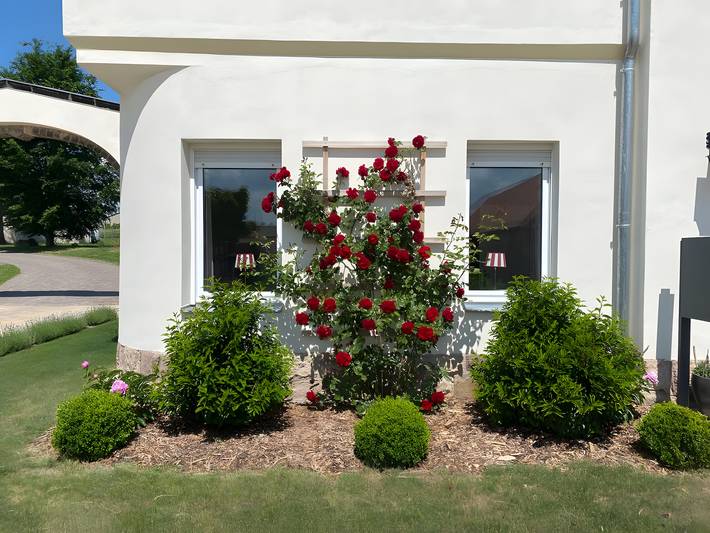 Bauernhof für 3 Personen, mit Garten in Sachsen - 3