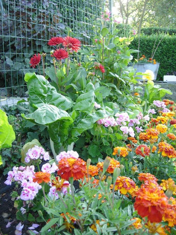 Hôtel pour 2 personnes, avec jardin à Le Nouvion-en-Thiérache - 2