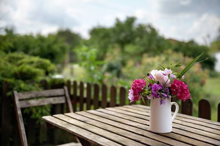 Bauernhof für 4 Personen, mit Garten, mit Haustier in Mecklenburg-Vorpommern - 3
