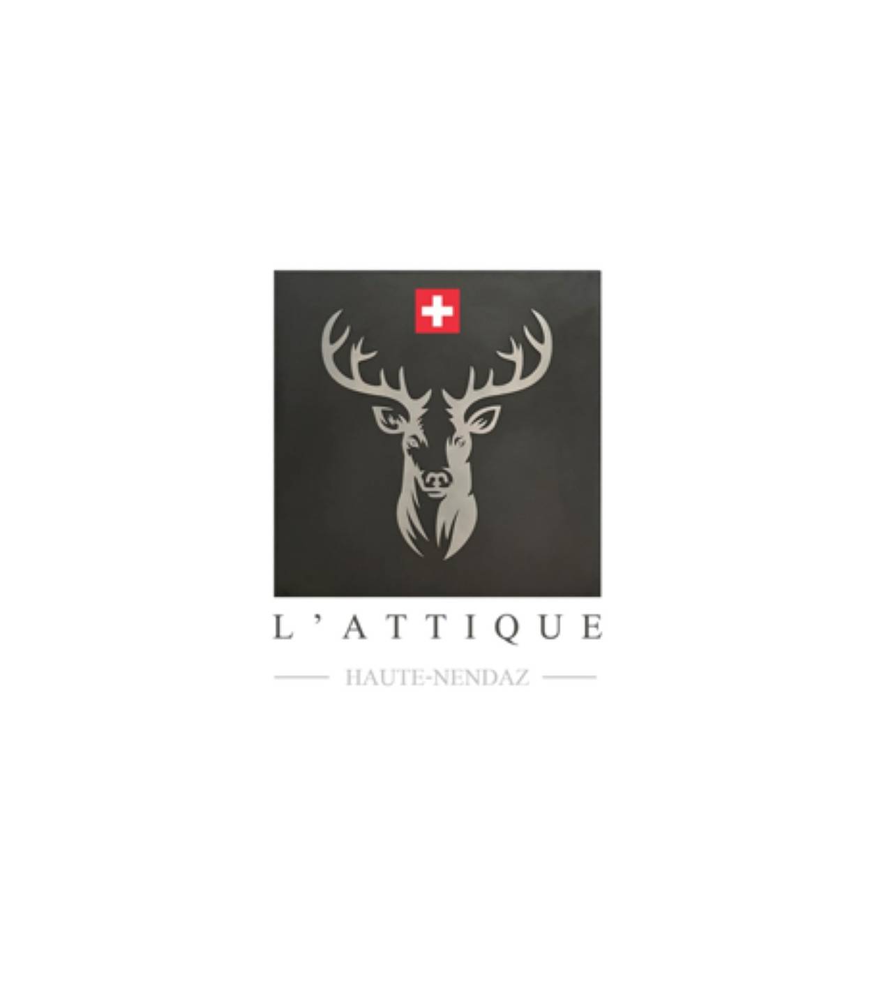 Ganze Wohnung, Grand-Place 16 - 7 pers - Attique avec Spa in Nendaz, Walliser Alpen