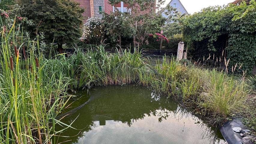Ferienhaus für 4 Personen, mit Garten und Balkon in Barth - 3