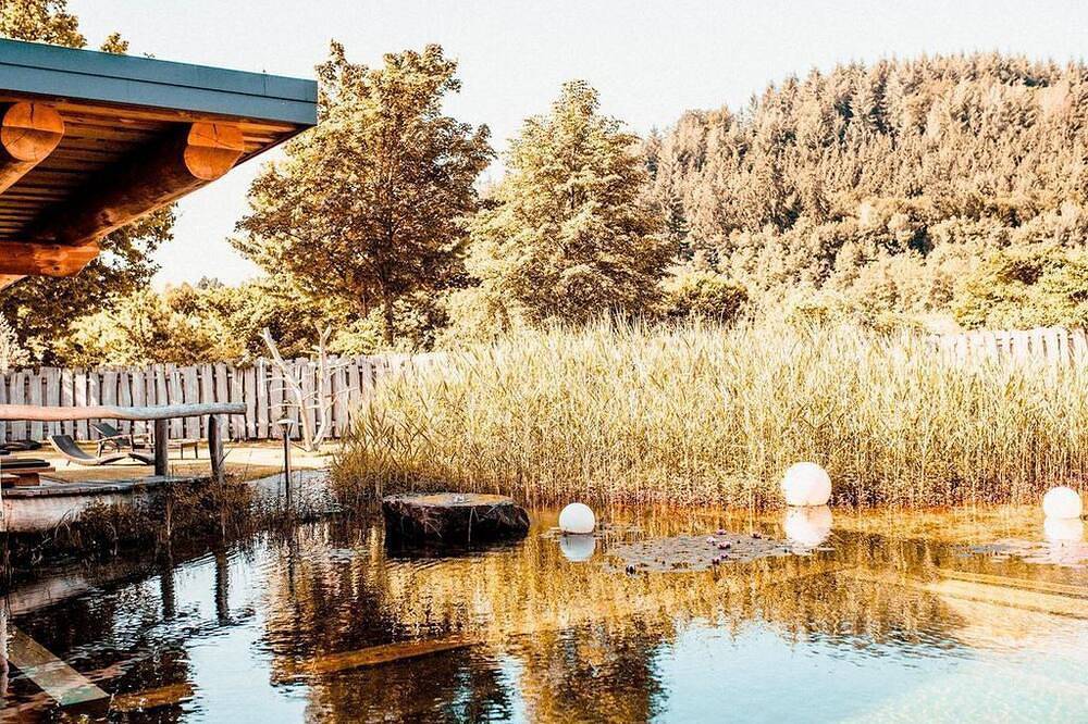 Ganze Wohnung, Ferienhaus Typ Fichte für bis zu 6 Personen - Ferienparadies Schwarzwälder Hof in Seelbach, Mittlerer Schwarzwald