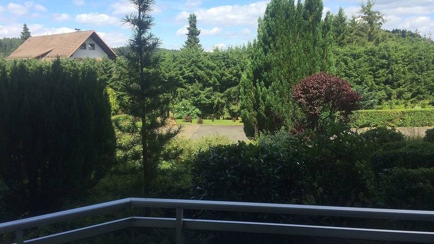 Ferienwohnung für 3 Personen, mit Balkon und Pool sowie Whirlpool und Sauna in Altenau - 4