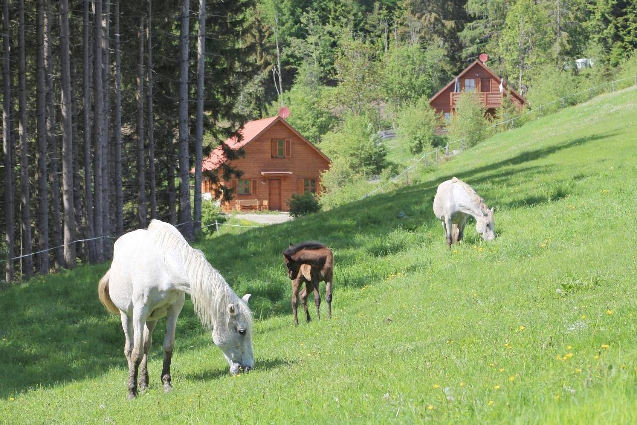 Karawankenpanorama Eg in Liebenfels, Mittelkärnten