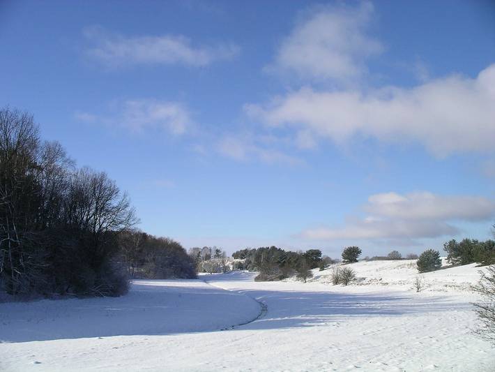 Ferienwohnung für 3 Personen, mit Garten, kinderfreundlich in Rheinsberg - 3