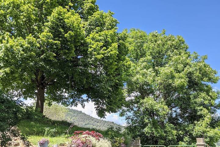 Grande chambre d'hôtes double pour familles in Montaillou, Ariège