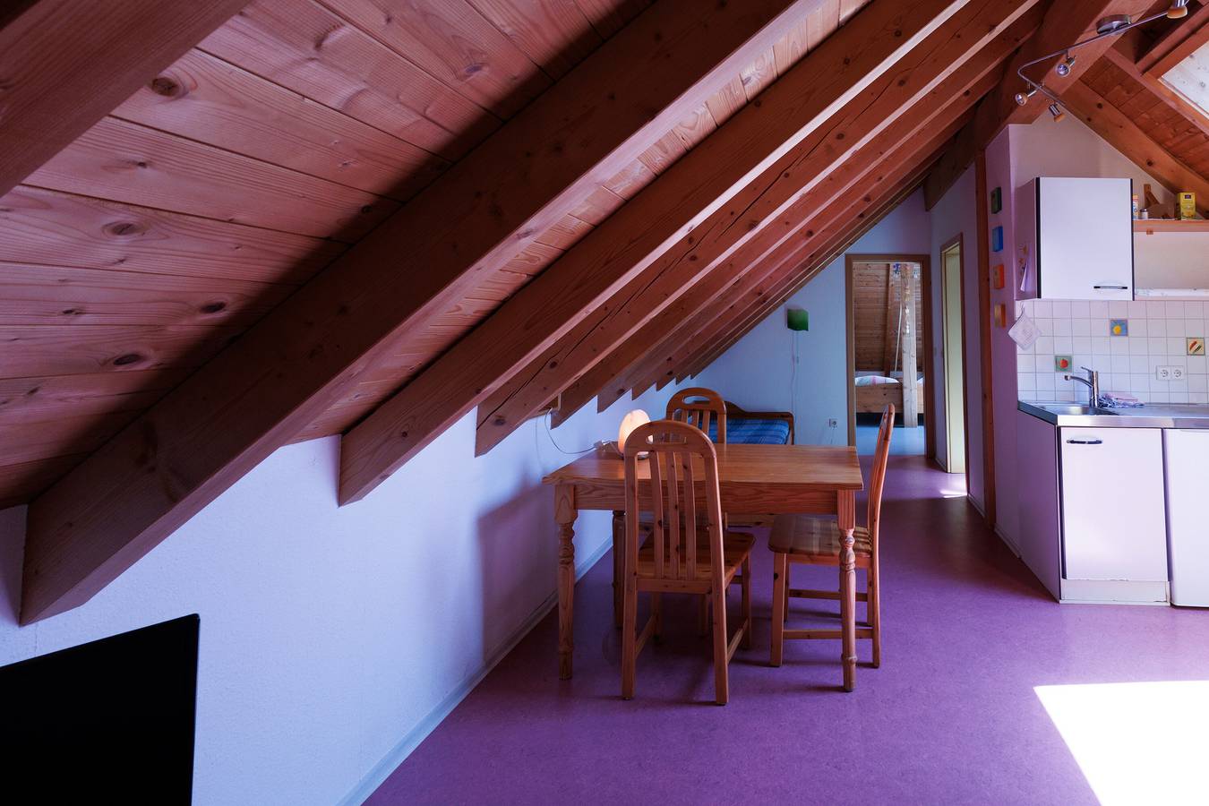 Ganze Wohnung, Ferienwohnung '1' mit gemeinsamer Terrasse und Wi-Fi in Hornberg, Mittlerer Schwarzwald