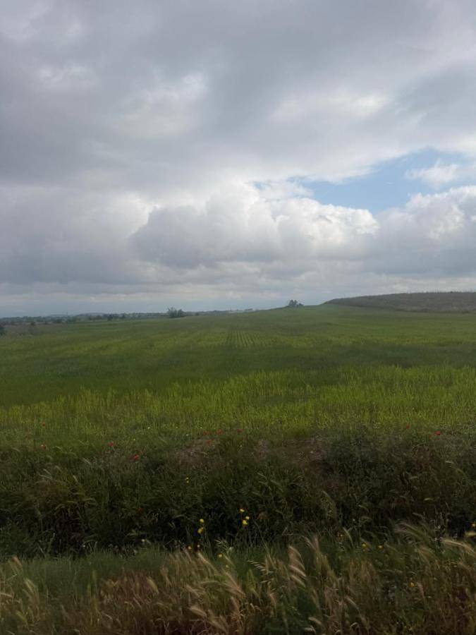 Location de vacances pour 6 personnes, avec vue à Conilhac-Corbières - 4