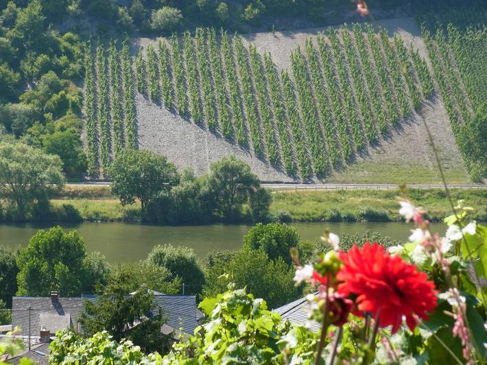 Ferienwohnung für 4 Personen, mit Balkon in Neumagen-Dhron - 3