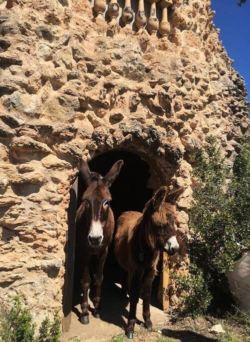 Location de vacances pour 4 personnes, avec vue ainsi que jardin et piscine à Alella - 2
