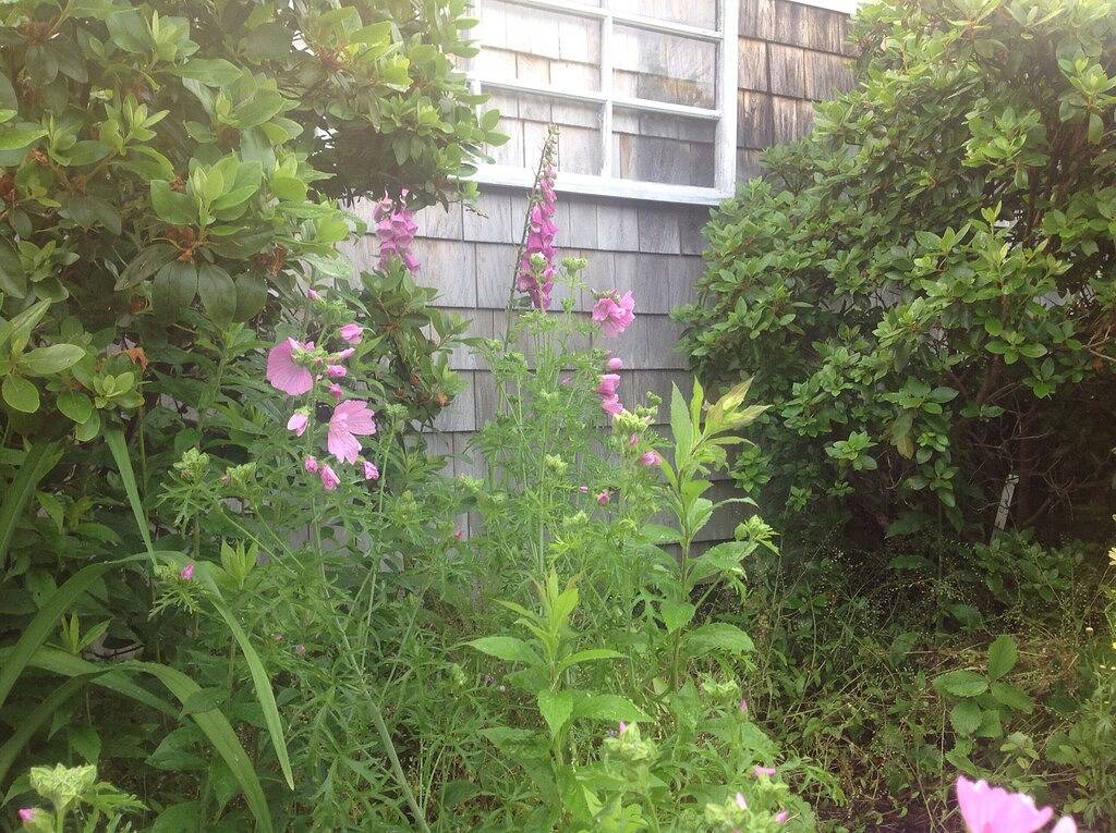 Slow Down & Go Back in Time-Relax komplett Unsere Maine Startseite in Lincoln County (Maine)