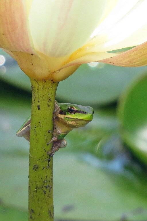 Absoluter Luxus in allen Bereichen, überraschende Ergänzungen, Begrüßungskorb und Wein in Hunter Valley