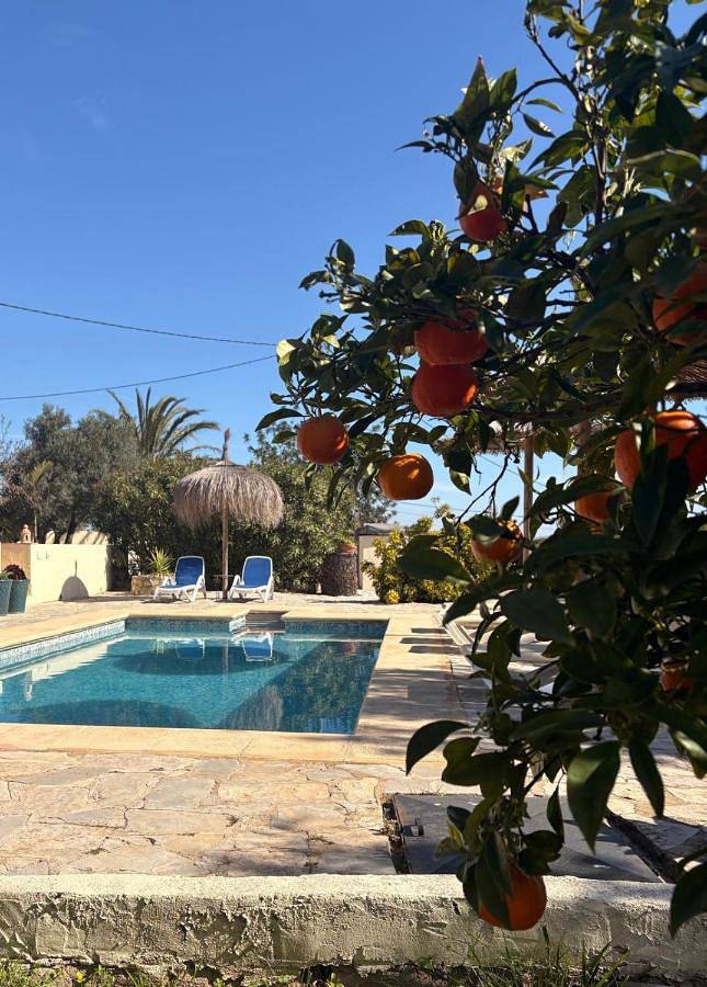 Rustico Appartment 'Olta' in finca, see-and garden side in Teulada, Costa Blanca
