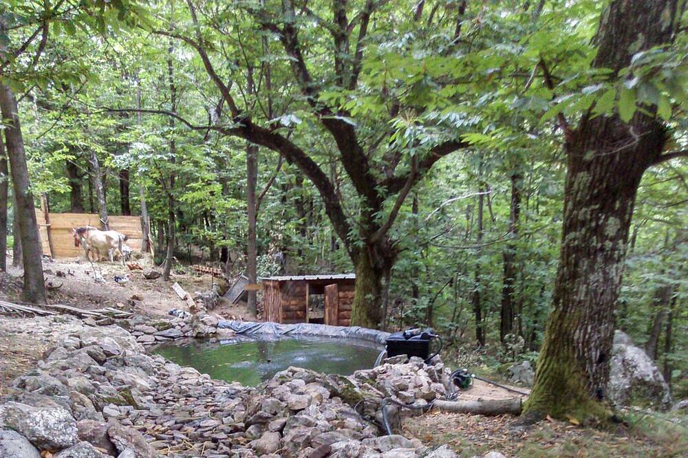 Roulotte le Bleuet, en milieu naturel proche des chemins de randonnées in Valgorge, Parc naturel régional des Monts d'Ardèche